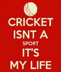 What Can Cricket Teach You About Life?